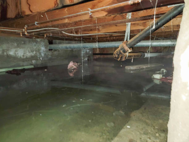 Best Water damage restoration near me  in West St Paul, MN