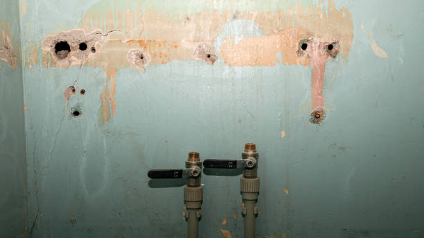  West St Paul, MN Water damage restoration Pros